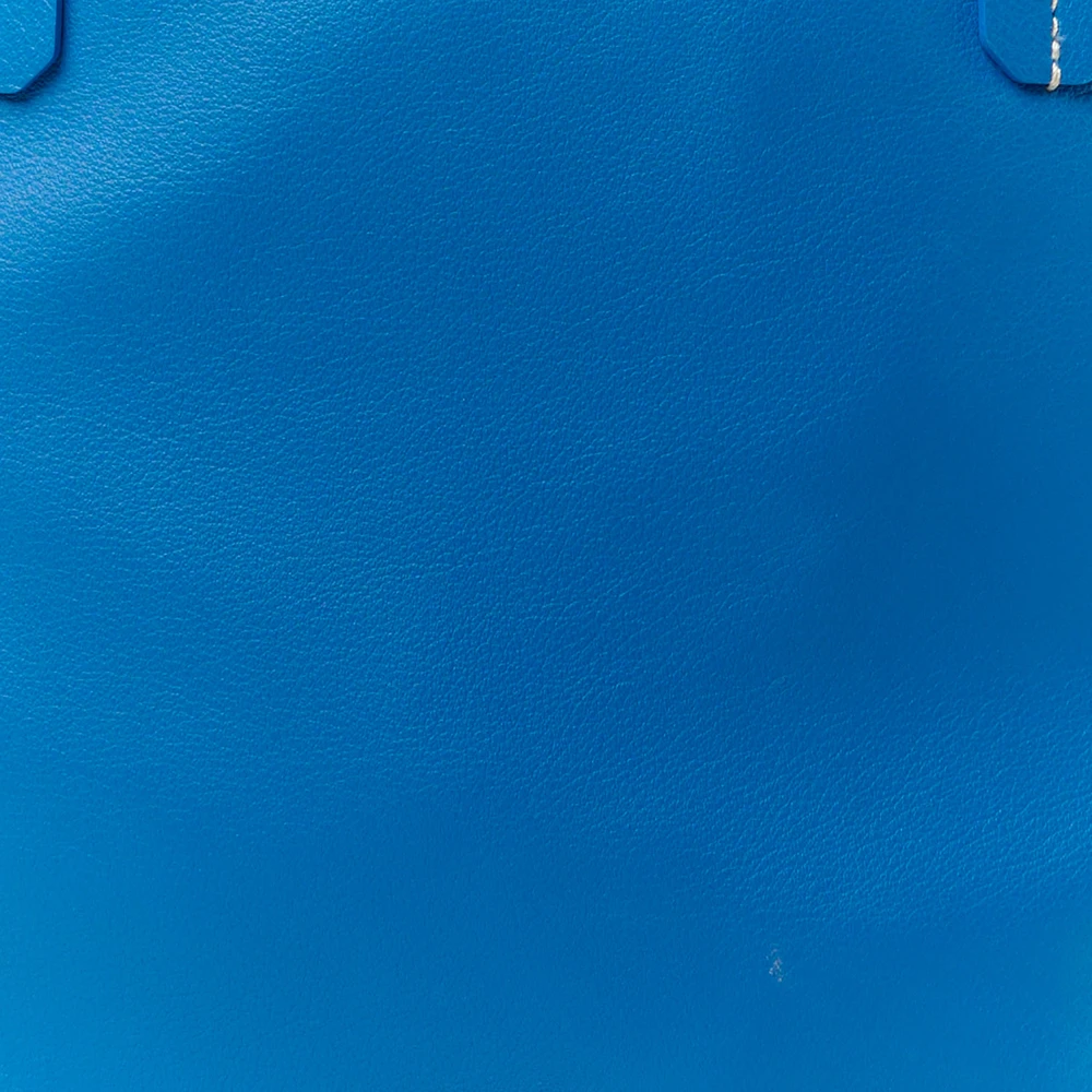 Lushentic Grade Bags: Reversible Mini Anjou Tote in Sky Blue Goyardine - Image 8