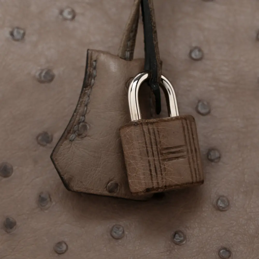 Lushentic Quality Handbags - Birkin 30 Gris Tourterelle Ostrich Leather - Image 10
