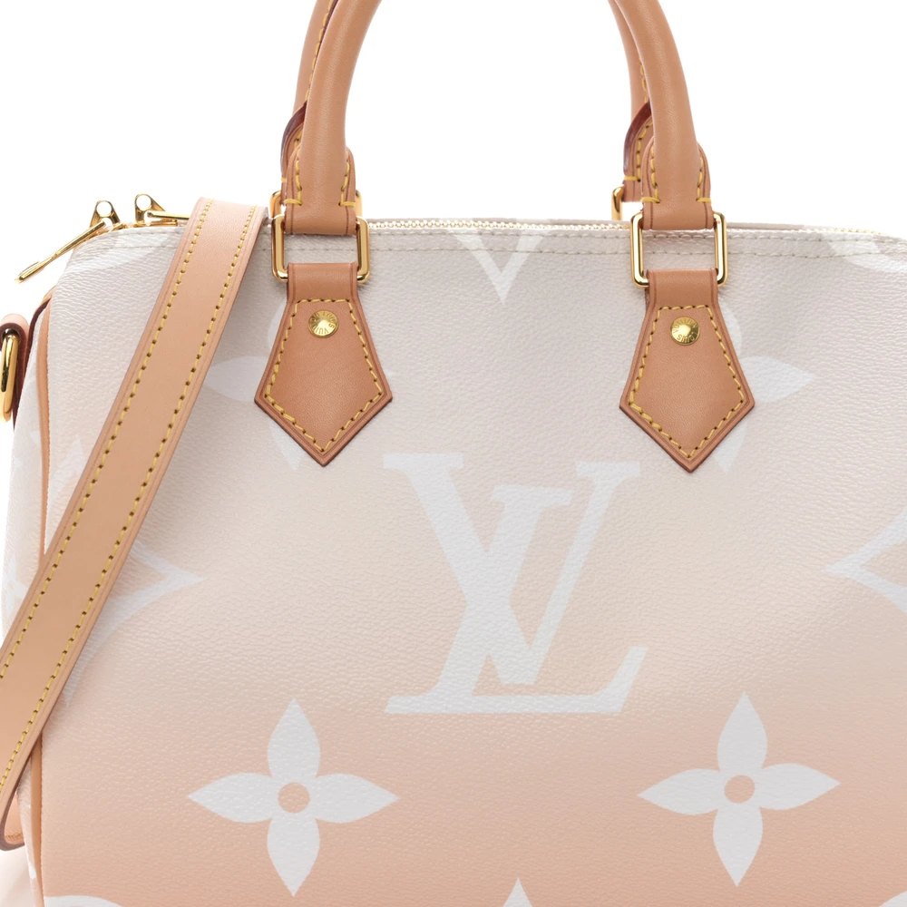 Lushentic Grade Replica Speedy Bandouliere 25 Brume Canvas Bag - Image 8