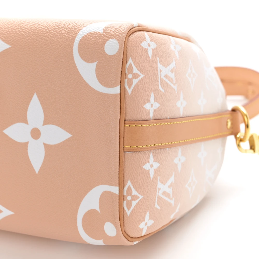 Lushentic Grade Replica Speedy Bandouliere 25 Brume Canvas Bag - Image 5
