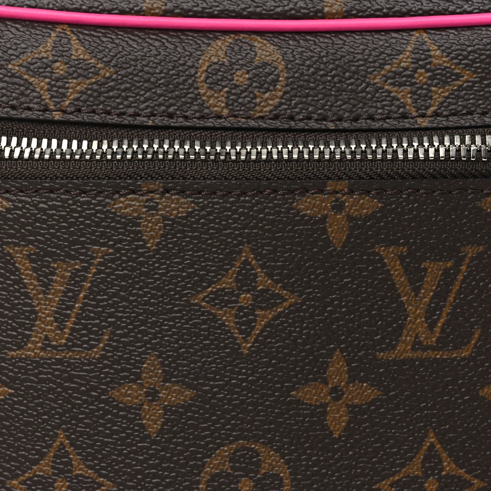 Lushentic Reviews Nice BB Fuchsia Monogram Macassar Canvas - Image 8