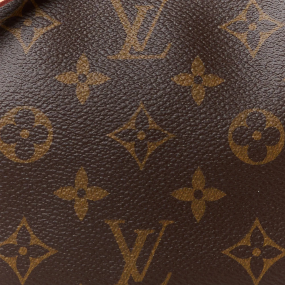 Lushentic Bags Review: Pochette Accessoires NM BB Monogram Canvas - Image 8